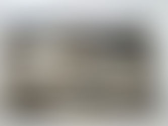 釣果報告(鮎）🎣