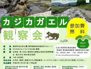 カジカガエル観察会🐸