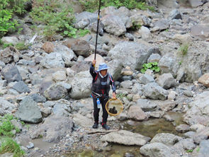監視員より釣果報告(鮎)9/30