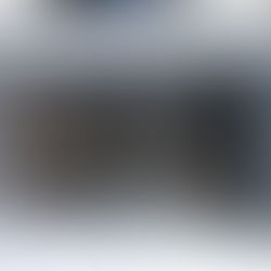 釣果報告(鮎)🎣