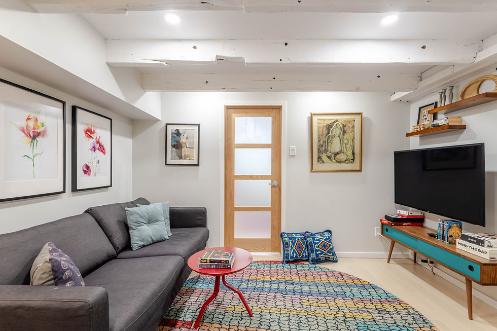 Basement Plateau Mont-Royal 2022