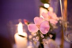 Hochzeitsfotograf Mischa Bättig Winterhochzeit Hotel Säntispark Drohnenaufnahme