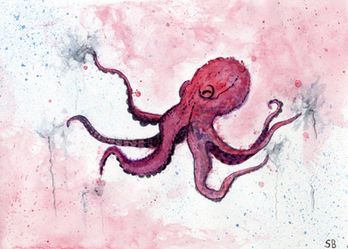 Octopus