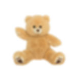 Teddy Bear 8” Buddy Bag