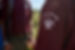 CB5I7193_photo_SBBC.jpg