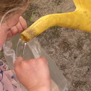 Befri dine dyr fra is 🦕🦛🐆