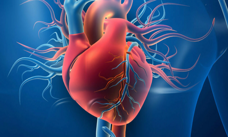 Calculate you Heart Risk and Diabetes Mellitus type 2 Risk