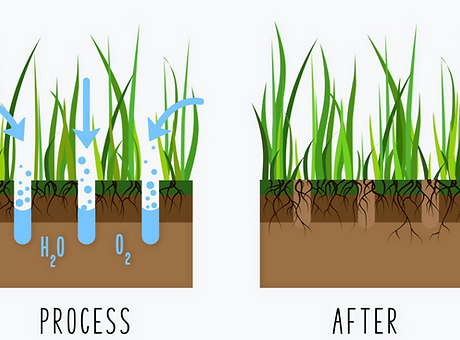 lawn%2520aeration_edited_edited.png