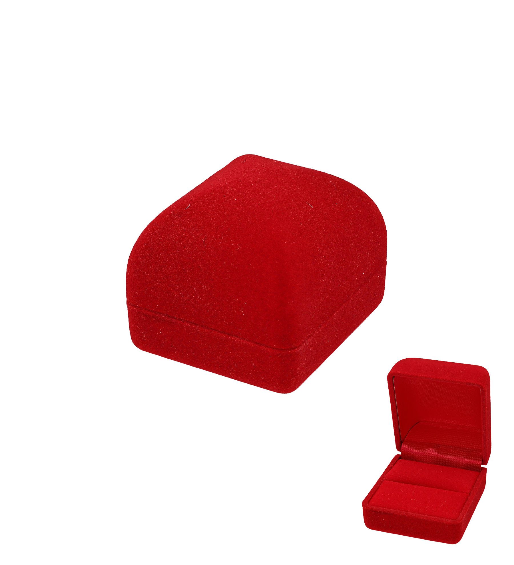 Ring - Case
