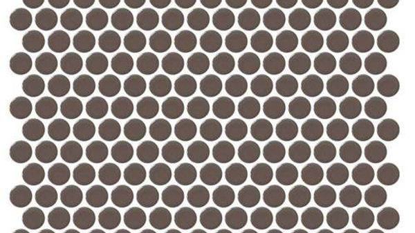 Penny Round Mosaic
