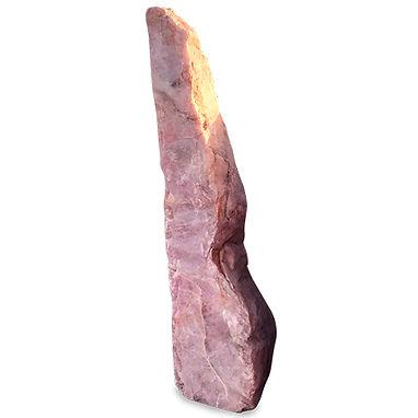 Home decorative specimen