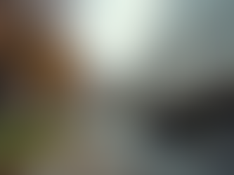 Reliable Student College Movers in Virginia