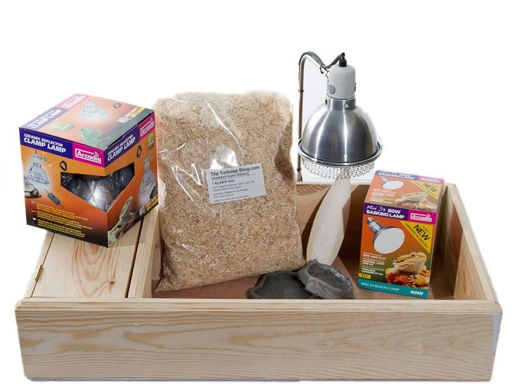 Tortoise Housing: Which is right for my tortoise?