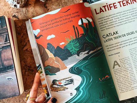 "Latife Tekin" / Notos Dergi