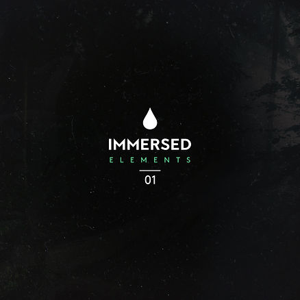 Artwork - Immersed Elements 01.jpg