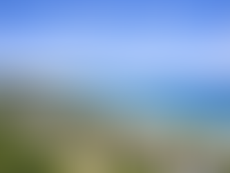 🏡 Immobilien in Rerik – Ostseeblick, Natur und hohe Lebensqualität