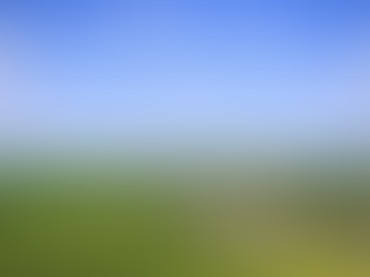 🏡 Immobilien in Brüel – Naturnah wohnen zwischen Seenlandschaft und Schwerin