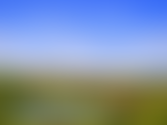 🏡 Immobilien in Sukow bei Schwerin – Ruhiges Wohnen im Grünen mit Stadtnähe