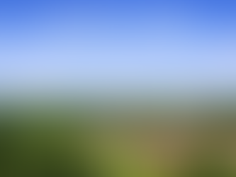 🏡 Immobilien in Holdorf – Ruhiges Wohnen im Grünen nahe Schwerin