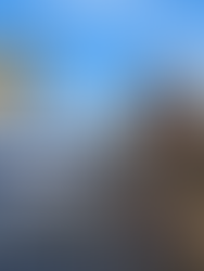 Stop asking for "Risk-Free" Profit sharing deals, What clients miss globally