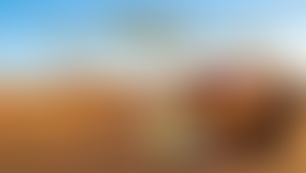 認識摩洛哥：一個站在非洲，卻望向歐洲與中東的國度