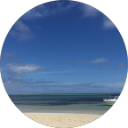 Lea 5-star Review - Real Time Handyman.png