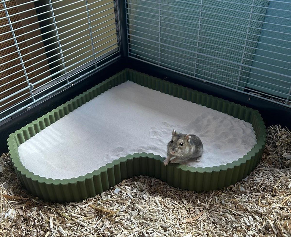 Thumbnail: Corner Sand Tray/Substrate Tray