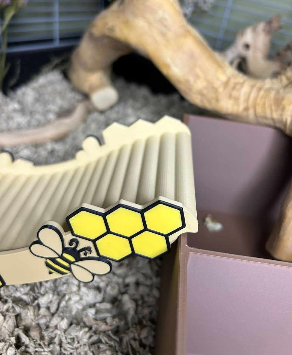 Thumbnail: Bee Ladder