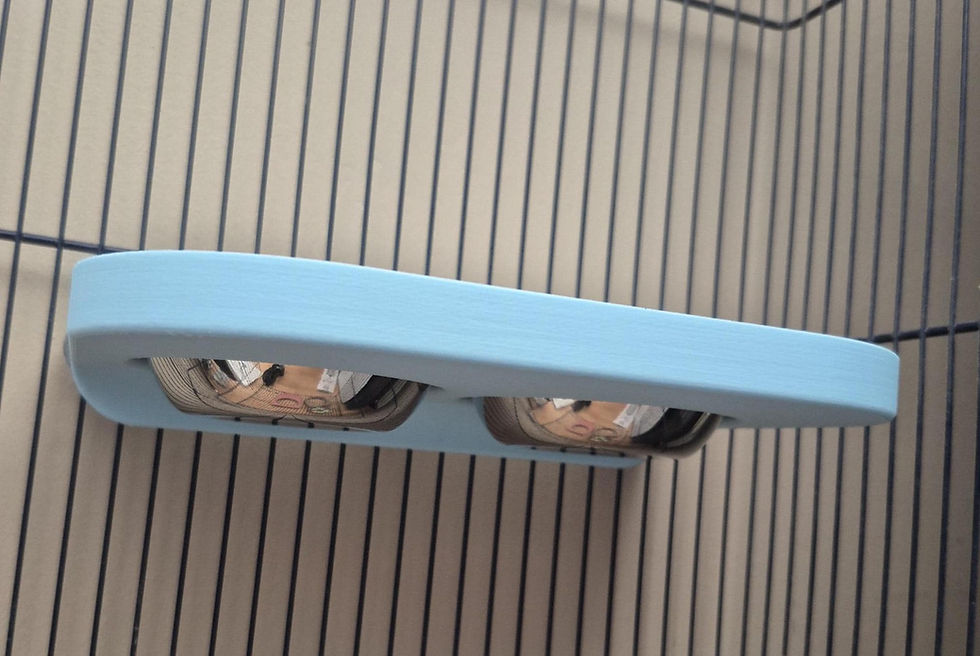 Thumbnail: Wide Bird Feeding Platform