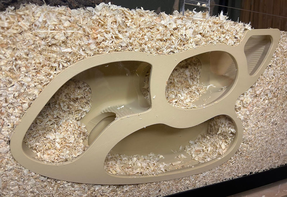 Thumbnail: Peek-A-Boo 3-Chamber Burrow Hide