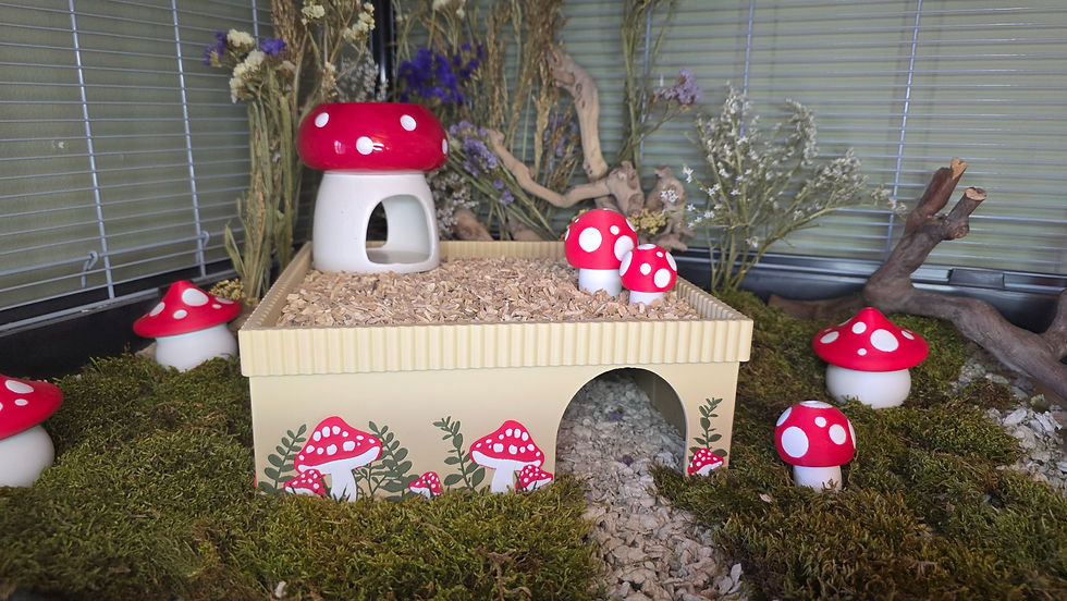 Thumbnail: Mushroom Chamber Hide With Removable Lid