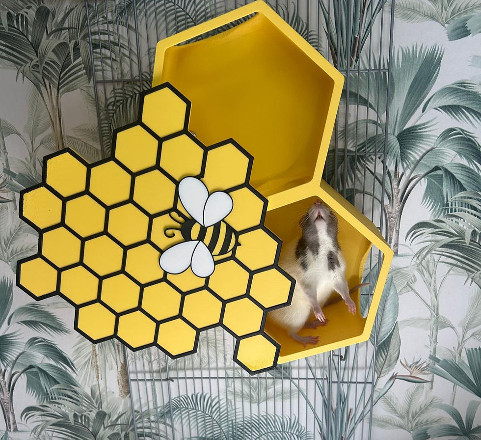 Thumbnail: Honeycomb Rat Climbing Toy