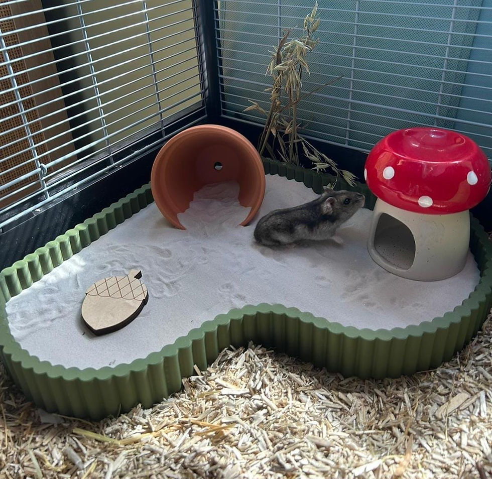 Thumbnail: Corner Sand Tray/Substrate Tray