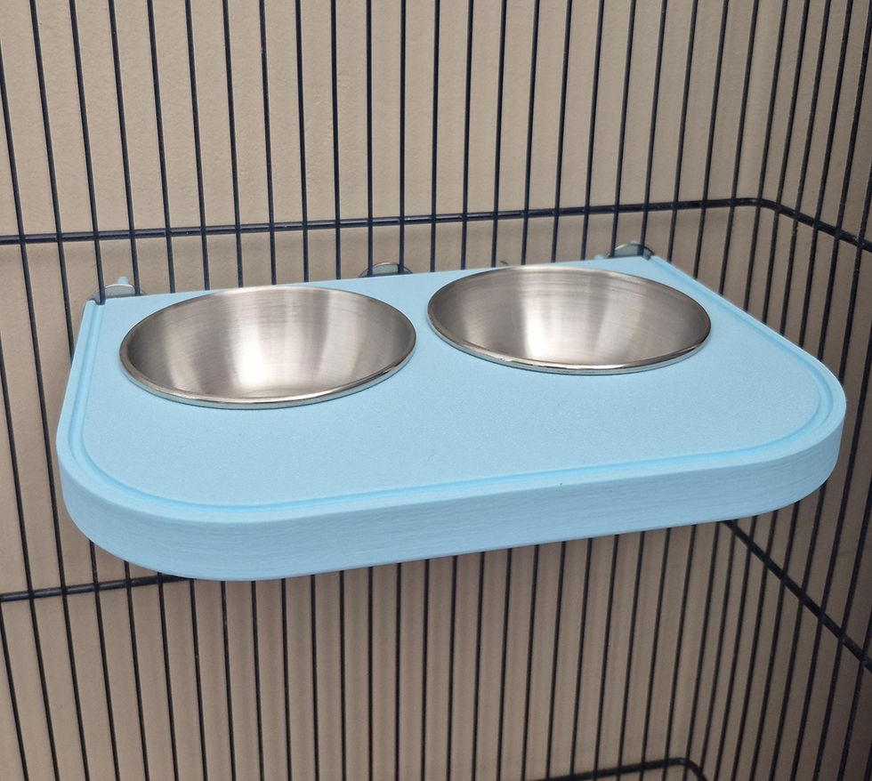 Thumbnail: Wide Bird Feeding Platform