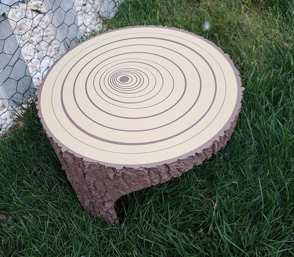 Thumbnail: Tortoise  Tree Stump Hide