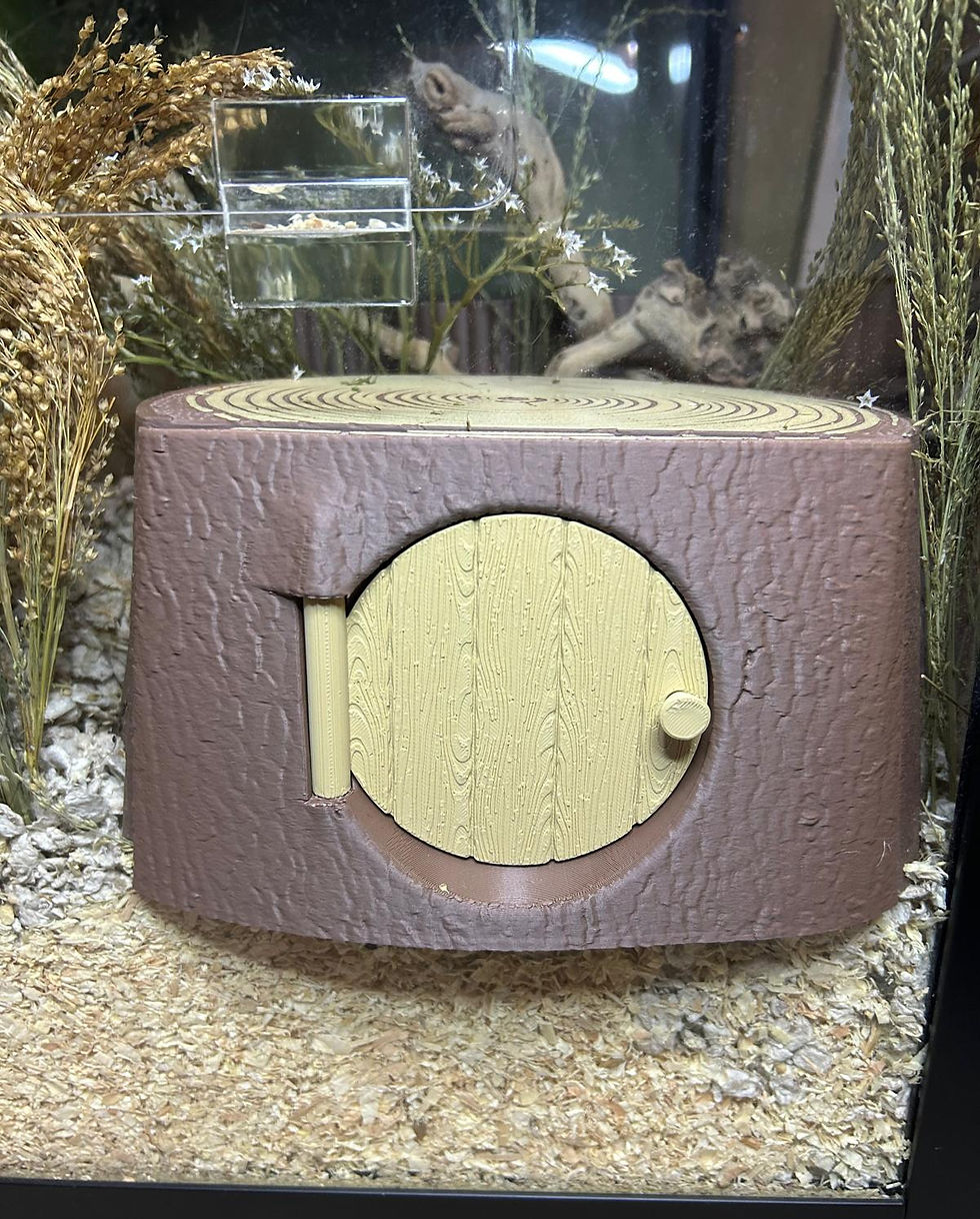 Thumbnail: Peek-A-Boo Tree Stump Hide
