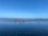 image3.jpeg