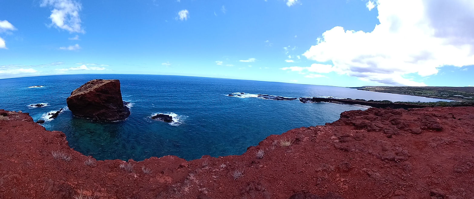 20210512_133101.jpg