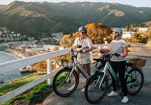 Contact information of ebike store