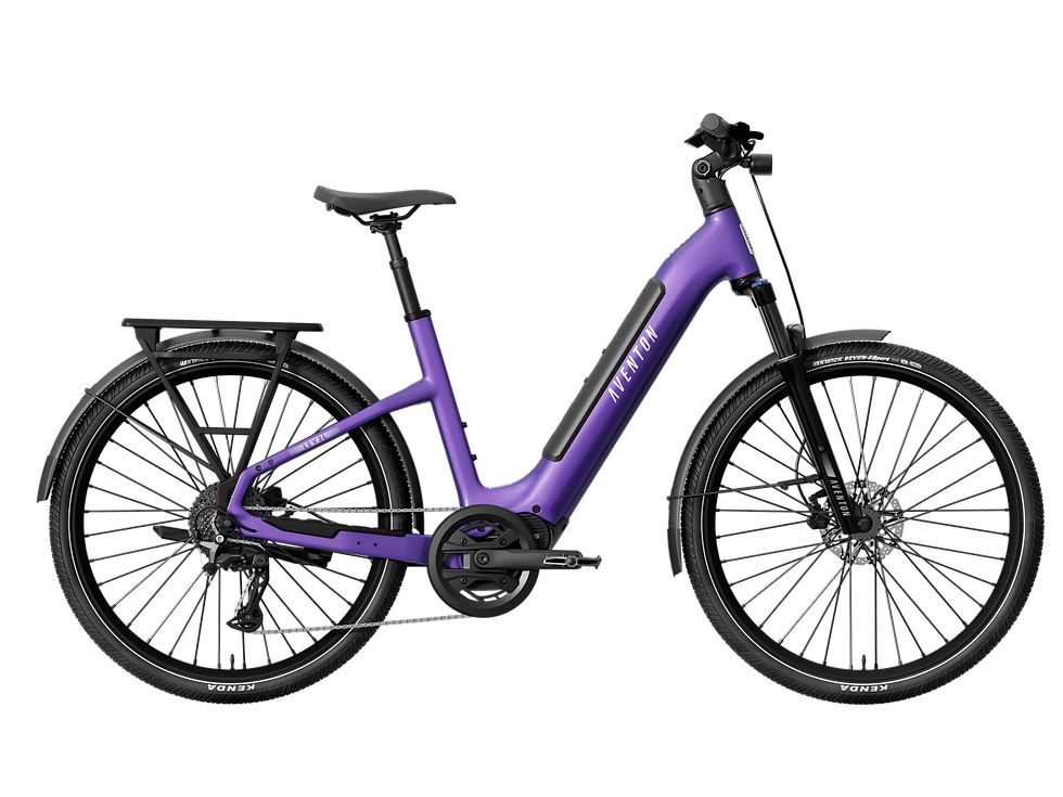 Level 4 ADV Step-Through Ebike Haze