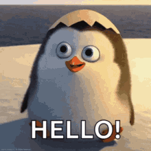 hello gif.gif