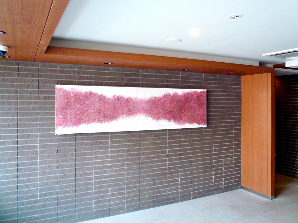 sakura-1