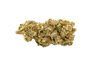 DODF035-Budshot.png