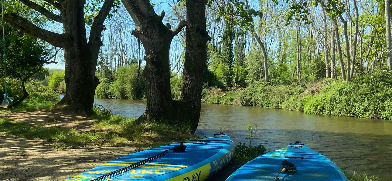 The Riverside Paddle Company at the River Medway Stand Up Paddle lessons Paddleboarding 