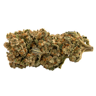 DosiD-Budshot-10-18-2021.jpg