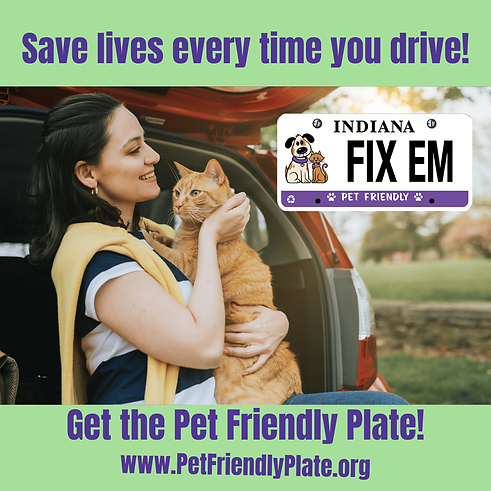 Copy-of-Copy-of-Save-lives-every-time-you-drive1.png