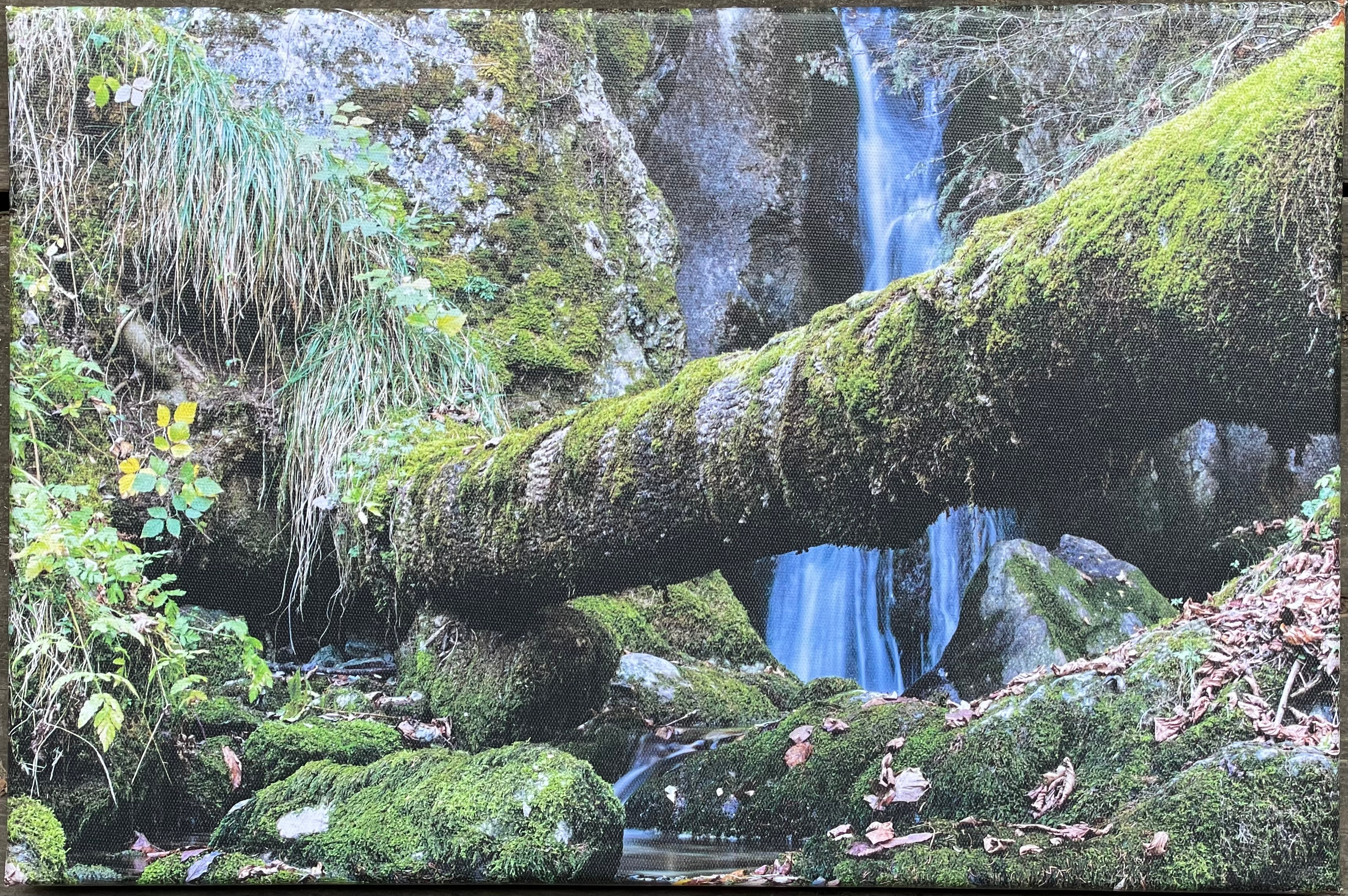 Toile 45x30 - Cascade