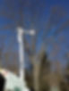 WADE_TREE_CARE_PRUNING.JPG