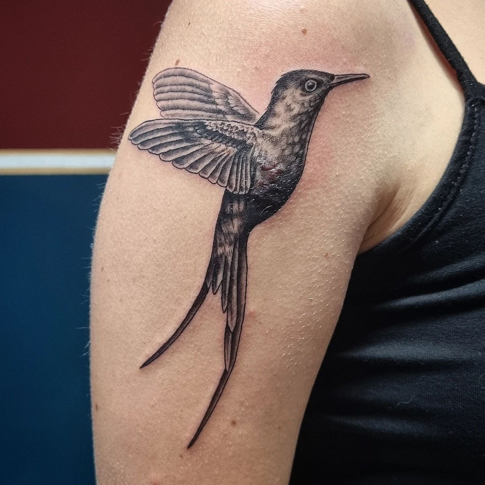tattoo oiseau