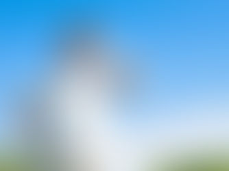 あなたの夏バテはどのタイプ？
